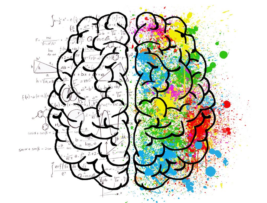 A brain drawing depicting mental model thinking through formulas on one side and colour splashes on the other