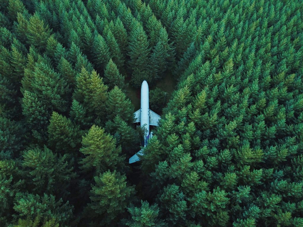 Overhead image of failed plane with large green trees growing over and around it